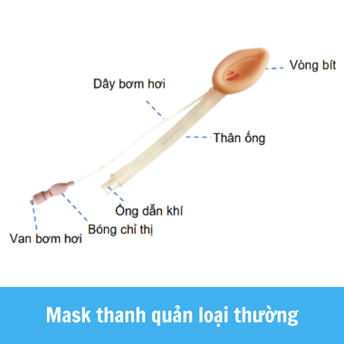 Mask thanh quản loại thường