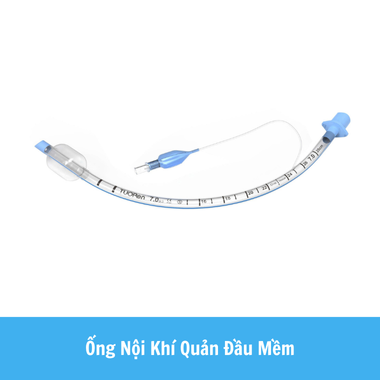 Ống nội khí quản đầu mềm