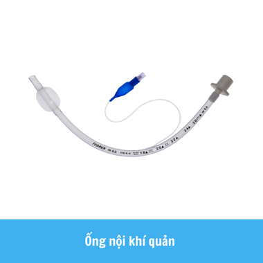 Ống nội khí quản